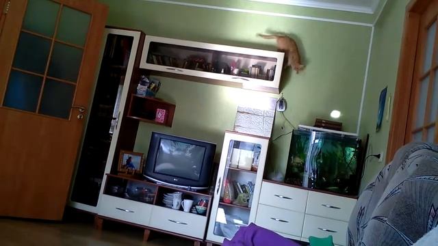 Солнечный зайчик смотреть онлайн