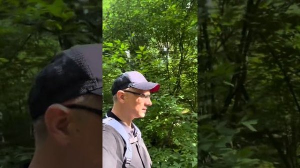 Лосиный остров в Москве. Ищем лосей рядом с озером Лось