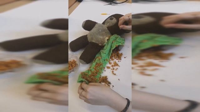 What Did We Find In This Bear?!