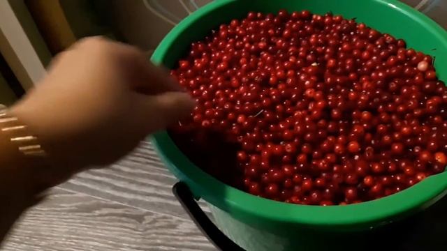 ВЛОГ : 2.09.20 ОСЕНЬ🍁/ ВЕДРО БРУСНИКИ И СКОВОРОДКА ГРИБОВ