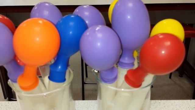 Yeast Aerobic and Anaerobic Respiration