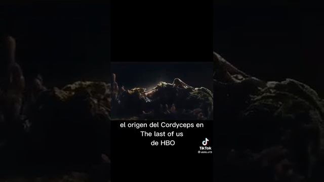 el origen del cordyceps en el the last of us meme🤣 смотреть онлайн