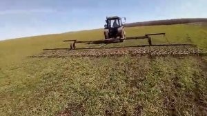 боронование озимой пшеницы 2021