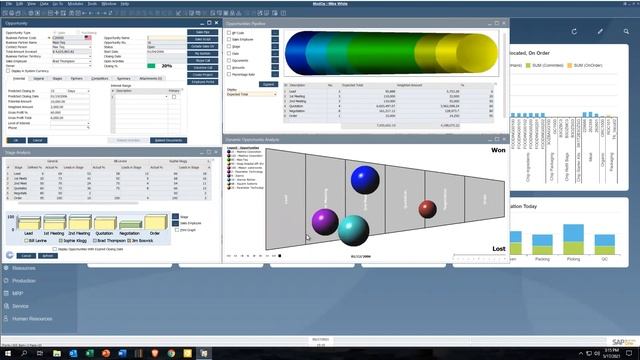 B1Usability Package Overview for SAP Business One смотреть онлайн