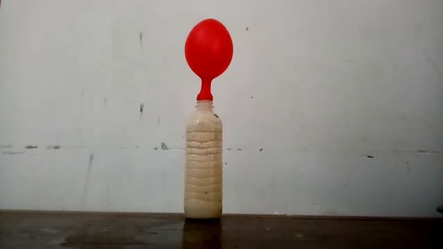 How To Inflate Balloon With The Help Of Microorganisms (Saccharomyces Cerevisiae = Yeast)