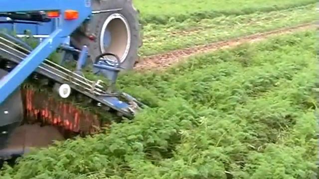 SP 260B Carrot Germany смотреть онлайн