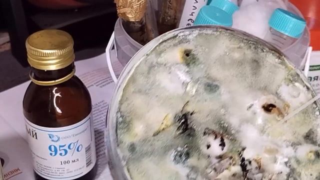 Есть вопрос к Ивану Русских смотреть онлайн