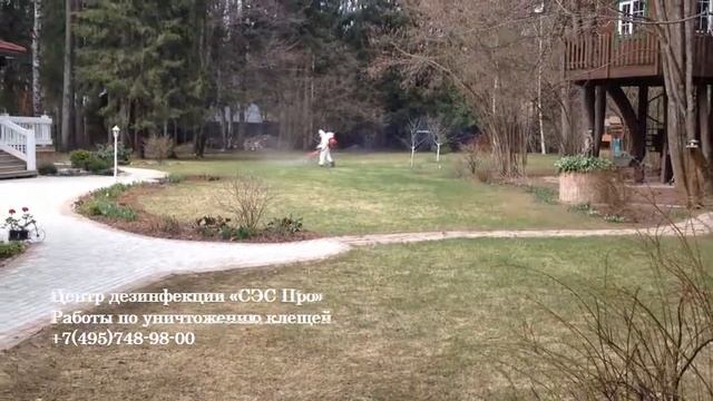 Уничтожение клещей смотреть онлайн