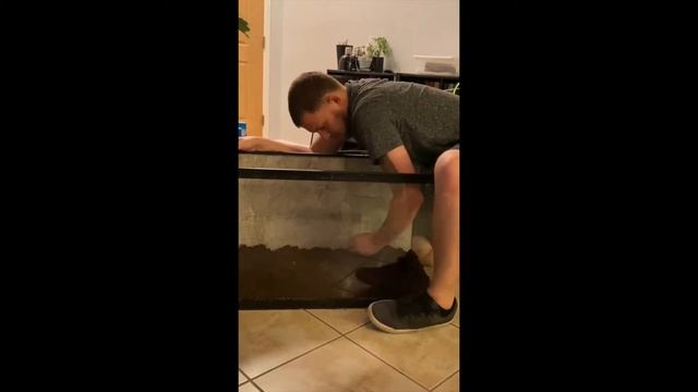 Upgrading Our Frog Enclosures! смотреть онлайн