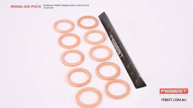 RINGOL-029-PCS10 HYDRAULIC POWER STEERING HOSE O-RING SET PCS 10 FOR FIAT смотреть онлайн