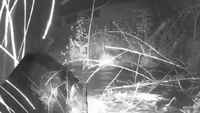 Три бобра смотреть онлайн