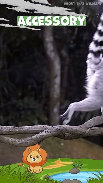 #Lemur : Ancient Sunbathing Primates смотреть онлайн