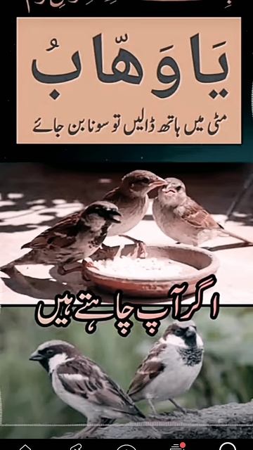 Dolat hasil karne ka wazifa#allah#wazifa#quran#status#islamicstatus#youtubeshorts #shorts#viral#hin