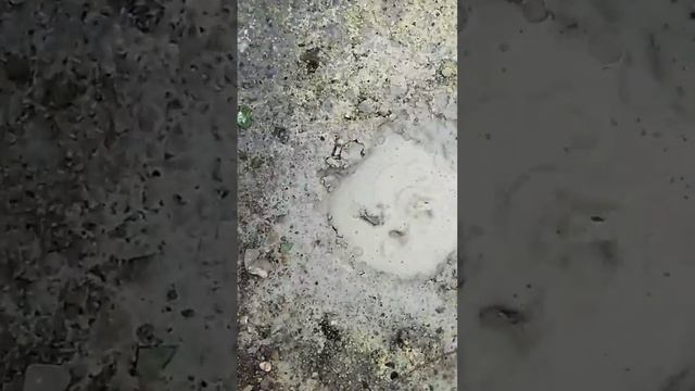 Горячая вода из земли.