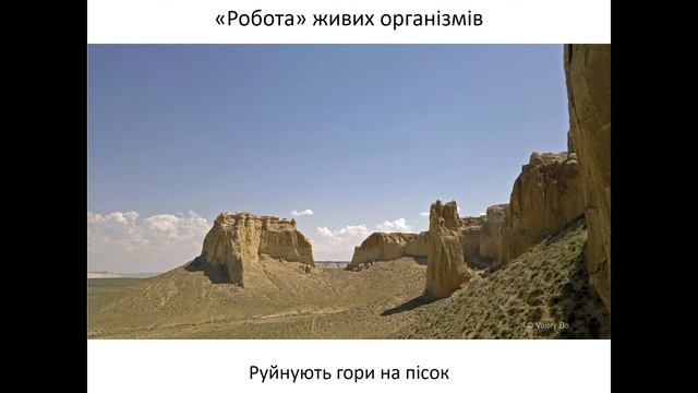 6 клас  2  Різноманітність життя