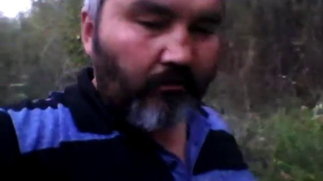 в поход за ягодами смотреть онлайн