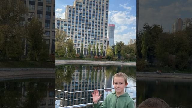 Лесная грибная сага