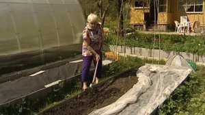 огород без хлопот