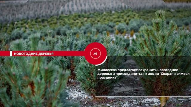 НОВОСТИ ЭПИЗОДЫ 28 12 2020 смотреть онлайн