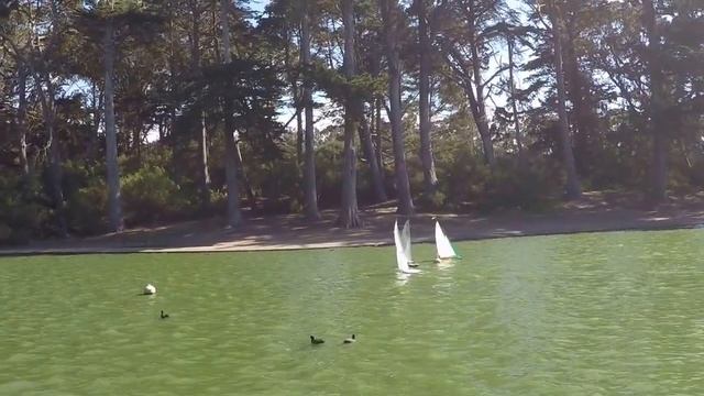 AMYA Star 45 Region 6 Championships 2015 Race 23 смотреть онлайн