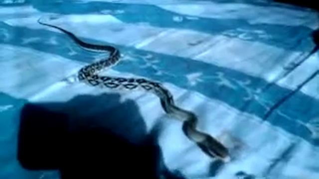 Самаэль смотреть онлайн