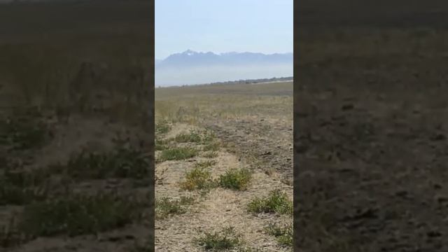 26/09/2021ж Аламан бәйге Алматы облысы Талғар 1-орын Аян Ақсуат Тарбағатай 2-Қарағанда смотреть онлайн