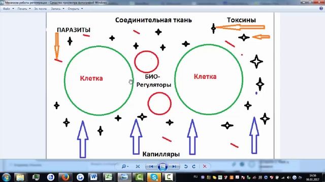 САД Aclon Механизм работы флуревитов смотреть онлайн