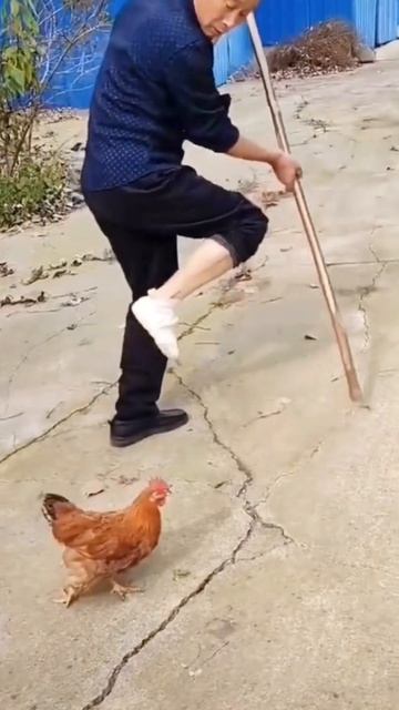 Chicken imitates human #shorts смотреть онлайн