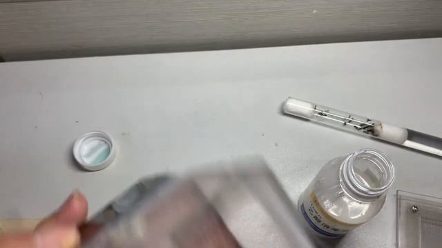 china honey ant 중국에도 있다는꿀단지개미 드디어 입수했습니다 смотреть онлайн