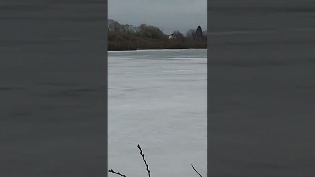 озеро, чайки и утки смотреть онлайн