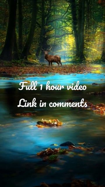 Relaxing Piano Reindeers in Nature смотреть онлайн