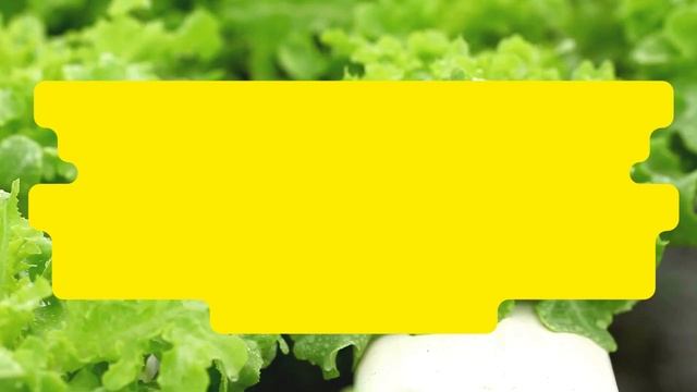 Cara Efektif Pengendali Hama Penyakit Tanaman, Beauveria Bassiana dan Metarhizium + Nutrisi Tanaman смотреть онлайн