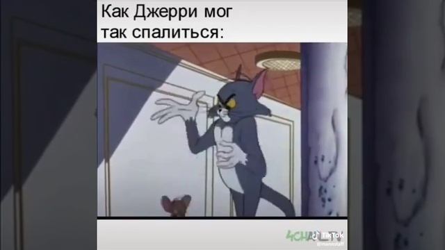 Том сполился смотреть онлайн