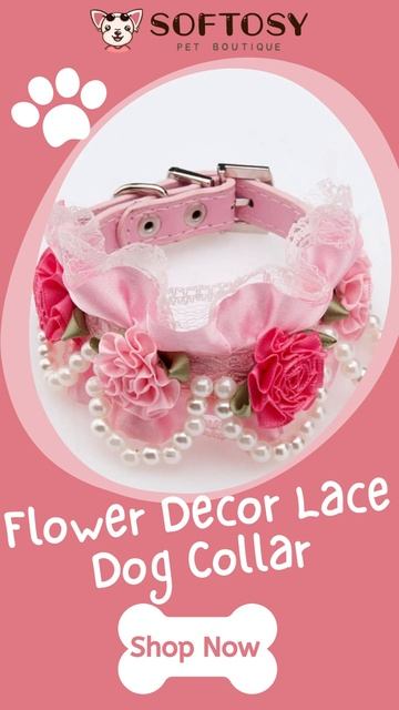 Hot-Selling Dog/Cat Collars смотреть онлайн