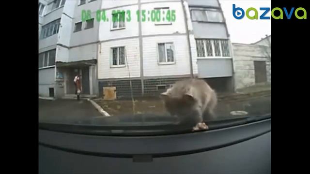 Обожаю русский рэп смотреть онлайн
