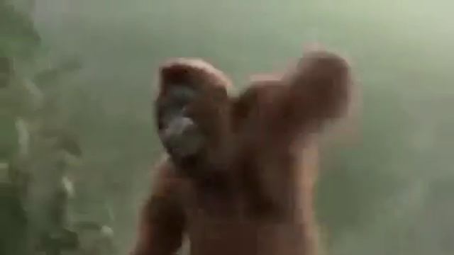 Сумашетшая макака смотреть онлайн