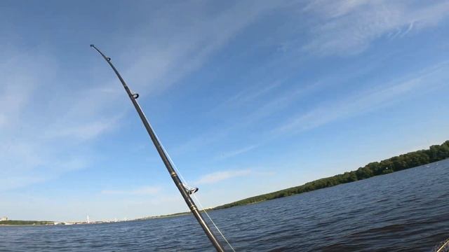 РЫБАЛКА С БАТЕЙ НА СУДАРЯ!!!//СУДАК РАЗДАЁТ💪💪💪Точки работают!!!Сударь на месте !!! Шексна балует 😜😜 смотреть онлайн