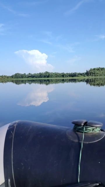 отдых на природе #мудрость #саморазвитие #цитаты смотреть онлайн