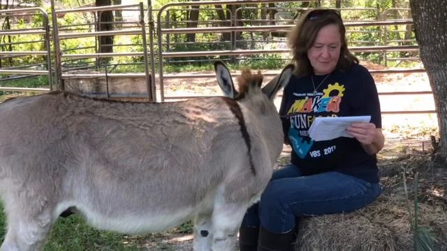 Friendswood Friends Church - Kids Palm Sunday Lesson with Lokey the Donkey смотреть онлайн
