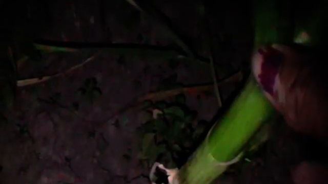 Чеснок в спичечный коробок!