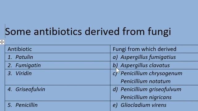 Fungi 45 Names Easy Way To Learning I सबसे आसान तरीका Fungi के 45 नाम याद करने का ।