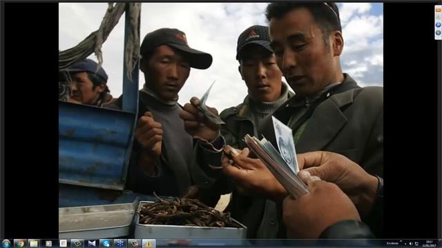 Cordyceps Explicado Por Un Medico ✆ + 642 366 134 ☎️