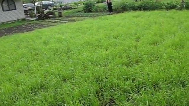 Малышня кабаны(13) смотреть онлайн