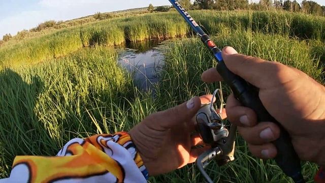 Сколько же тут ЩУКИ!? Именно на ЭТИ приманки Я ЛОВЛЮ МНОГО щуки! Ловля щуки на спиннинг. Рыбалка2020 смотреть онлайн