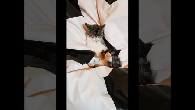 Валерий Кузаков Колыбельная