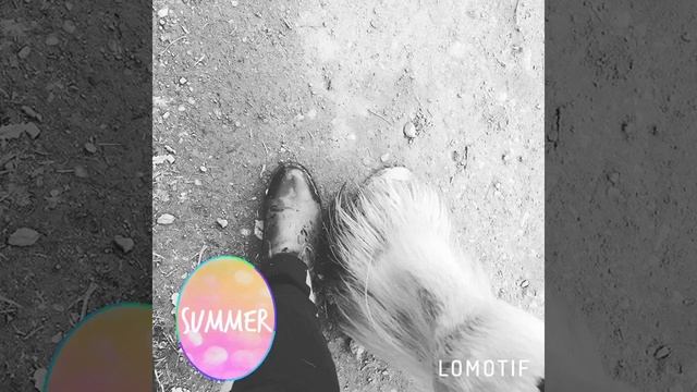 Video of the week xxx смотреть онлайн