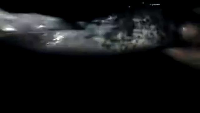 СОМИЩЕ смотреть онлайн