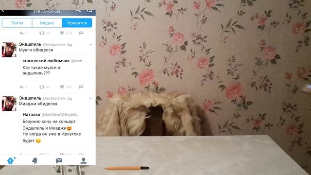 Вчерашний твиттер #00  читаем MiyaGi & Эндшпиль