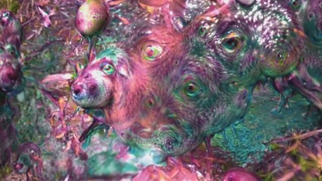 Mushroom Trip