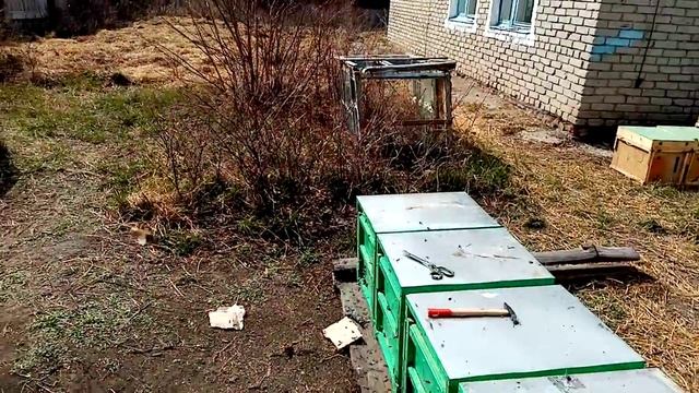 19.04.22г. переселил пчел в улики. смотреть онлайн